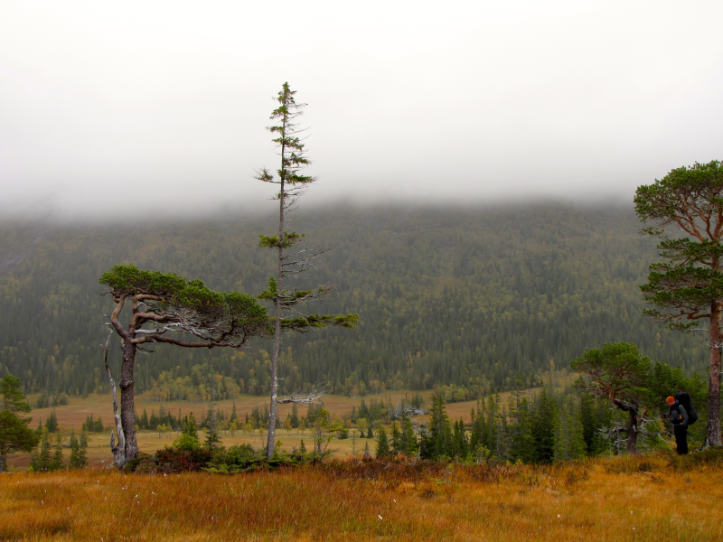 Skäckerfjällen with Per
